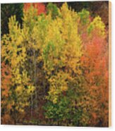 Mountains Fall Colors And Wild Turkeys Golden Red Leaves Wild Fo Wood Print