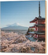 Mt. Fuji And Pagoda In Spring, Japan Wood Print