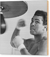 Muhammad Ali Punching Bag Wood Print