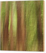 Muir Woods Redwoods Abstract Wood Print