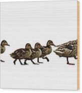 Mumma Duck And Kids Wood Print