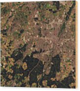Munich, Germany From Space Wood Print