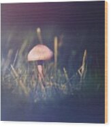 Mushroom Night Wood Print