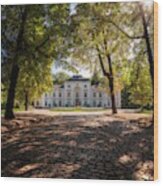 Myslewicki Palace, Warsaw Wood Print