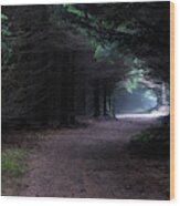 Narrow Path Through Foggy Mysterious Forest Wood Print