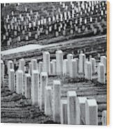 National Cemetery Wood Print