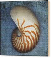 Nautilus Wood Print