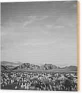 Near Death Valley National Monument Wood Print