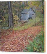 New England Autumn Woods Square Wood Print