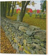 New England Stone Wall 2 Wood Print