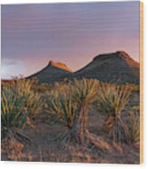 New Mexico Buttes Wood Print