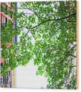 New York Apartments With Tree Wood Print
