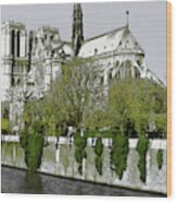 Notre Dame On The Seine Wood Print