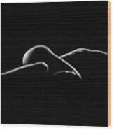 Nude Woman Bodyscape 7 Wood Print