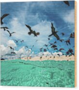 Ocean Bird Wood Print
