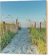 Ocean Isle Beach Path Wood Print