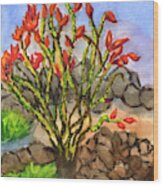 Ocotillo Wood Print