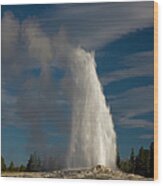 Old Faithful Erupting Summers Day Wood Print