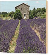 Old Farmhouse In Provence With Lavender Wood Print