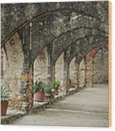 Old Mission Archway Wood Print