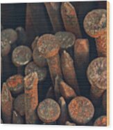 Old Rusty Nails Wood Print