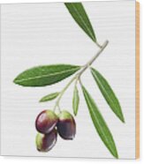 Olives On Branch Wood Print