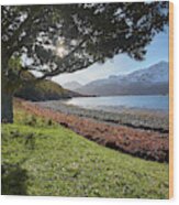 On The Shore Of Loch Hourn, Scotland. Wood Print