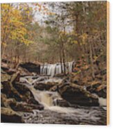 Oneida Falls In Autumn Wood Print