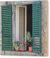 Open Window Of Tuscany Wood Print