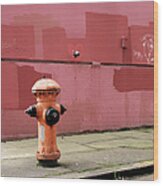 Orange Fire Hydrant With Pink And Red Wood Print