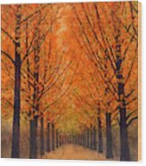 Orange Grove Wood Print