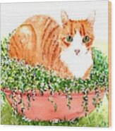 Orange Tabby Cat In Flower Pot Wood Print