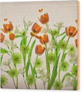 Orange Tulip & Green Chrysanthemum Wood Print