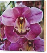 Orchid 9 Wood Print