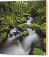 Oregon Moss Wood Print