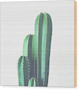 Organ Pipe Cactus Wood Print