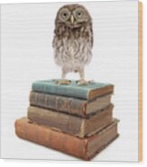 Owl And Books Wood Print