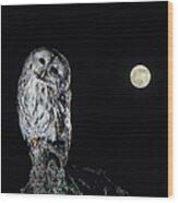 Owl On Branch Wood Print