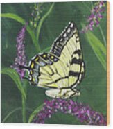 Pa75 Yellow Swallowtail Wood Print