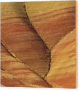 Painted Hills Creases Wood Print