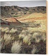 Painted Hills John Day Fossil Beds Wood Print