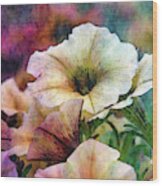 Pale Petunias 6465 Idp_2 Wood Print