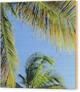 Palm Tree Breeze Wood Print