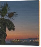 Palm Tree On Beach At Sunset Wood Print