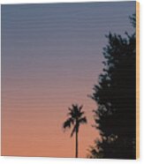 Palm Tree Sunset Wood Print