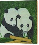 Panda Bears And Bamboo Wood Print