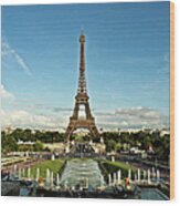 Paris Wood Print