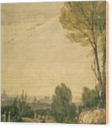 Paris Seen From The Pere Lachaise Wood Print