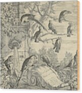 Parrots And Monkeys At A Garden Fountain Wood Print