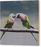 Parrots Wood Print